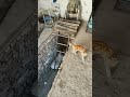 ТРЕВОЖНАЯ НОЧЬ