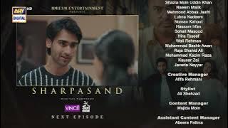 SharPasand Episode 17 | Teaser | ARY Digital Drama
