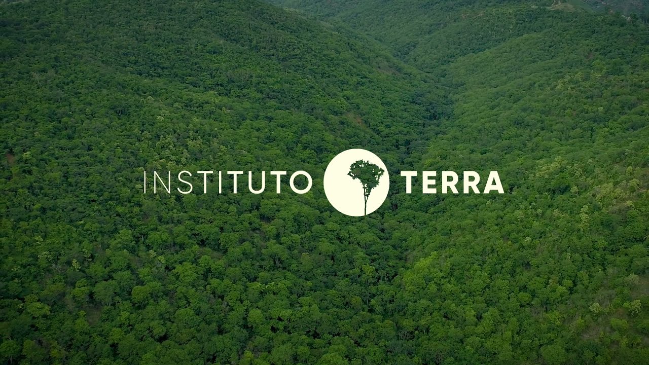 Instituto Terra  Institutional video