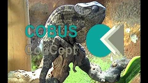 COBUS ConCept Imagefilm english