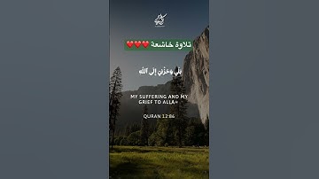 #سورة_يوسف #القرآن_الكريم #تلاوة_خاشعة #islamicvideo