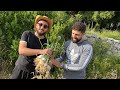 Garlic AndOnions Understanding It All A New Initiative By The Youth Garlic AndOnions Understanding It All A New Initiative By The Youth
