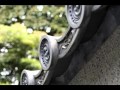 蝉時雨 【ラッコマン】
