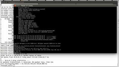 Ejercicio 1: OpenFlow 1.3  y OVS