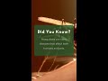 Did You Know Mosquitoes Can Spread More Than Just Bites
