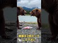 たくましい猫 #shorts
