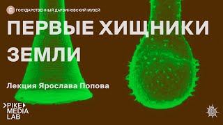 Онлайн-лекция Ярослава Попова 