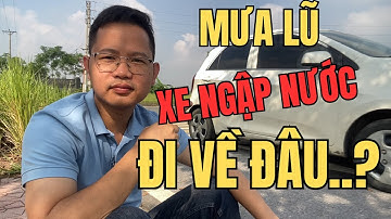 Mưa Bão Lũ Lụt Xe Ô Tô Ngập Nước Sẽ Đi Về Đâu.?, Đừng Vội Mua Xe Ô Tô Cỏ
