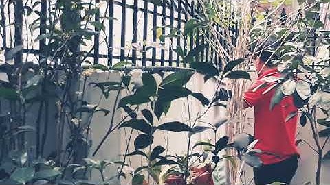 Thi công lắp đặt hệ thống tưới tự động cảnh quan, sân vươn