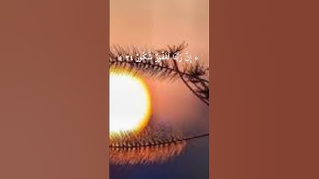 وقالوا_الحمد_لله___سورة_فاطر_٣٤___عبد_الباسط_عبد_الصمد #quran #اكسبلور #المصحف #القرآن_الكريم