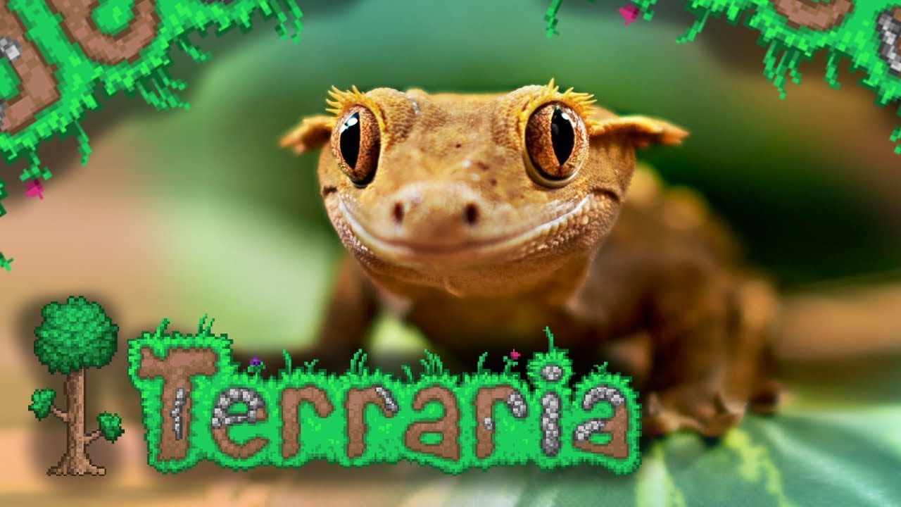 AnonMan Plays Terraria for no reason...