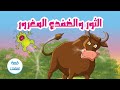 قصة الثور والضفدع المغرور قصة للاطفال قبل النوم قصة الثور والضفدع المغرور قصة للاطفال قبل النوم