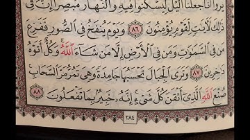 القارئ علاء المزجاجي _ من سورة النمل - من اجمل التلاوات