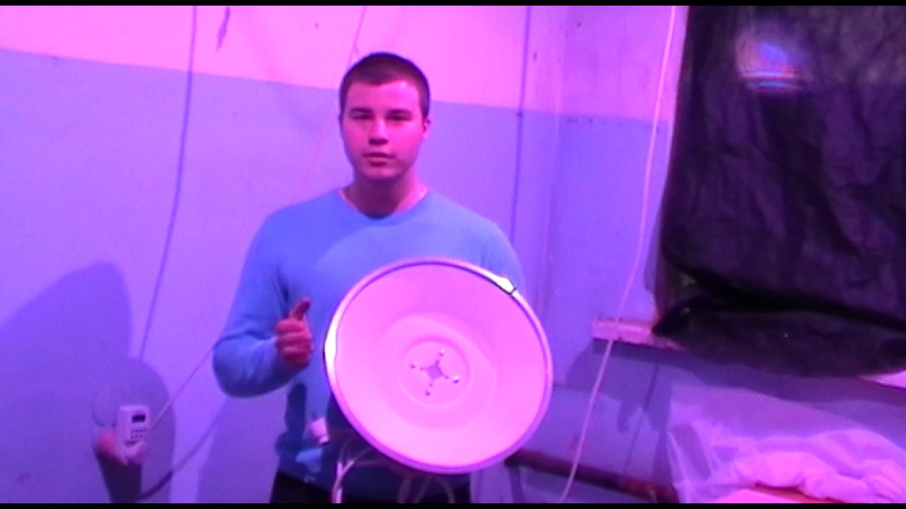 Фирма веников не вяжет - YouTube