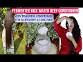 DIY Fermented Rice Water Deep Conditioner for Silky, Shiny, Long Hair | Sushmita&#39;s Diaries