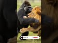 Lion Battles Gorilla in Wild #shorts #wildlife