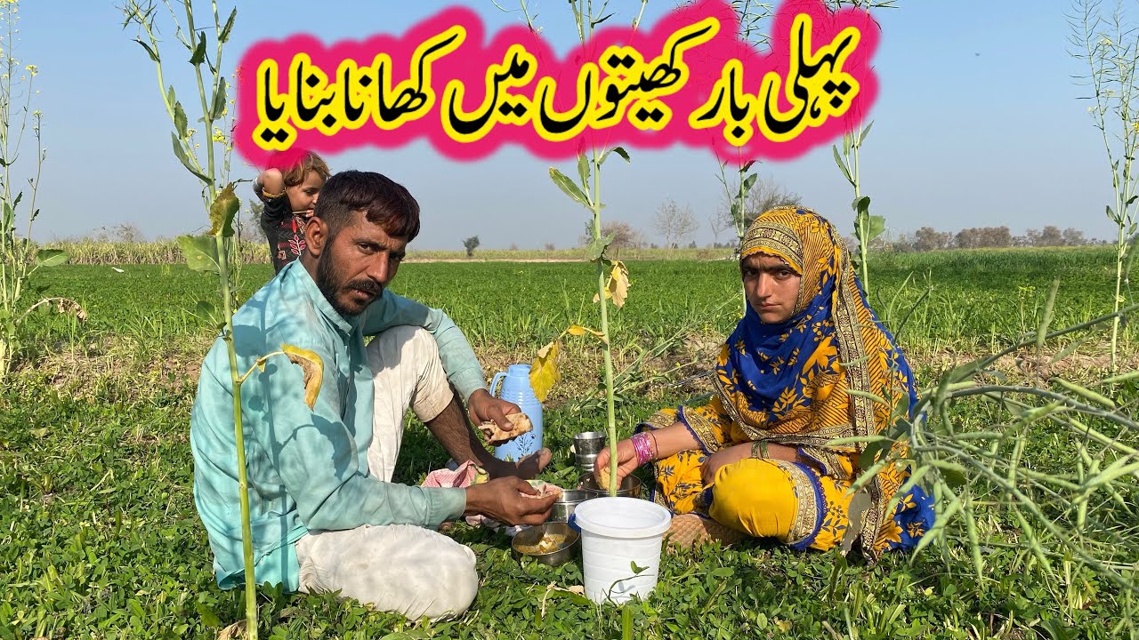 Ajj ka khana khiton mai pehli bar kheeton mai  | sumaira atta