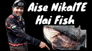 Catching Fish With The BEST Techniques