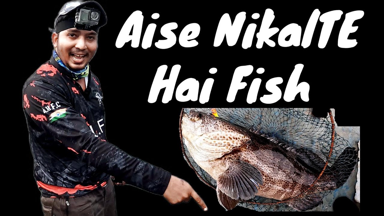 Catching Fish With The BEST Techniques