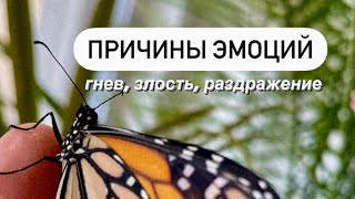 Причины эмоций: злость, гнев, раздражение #истина #правдажизни #состояниеэмоций #состояниелюбви