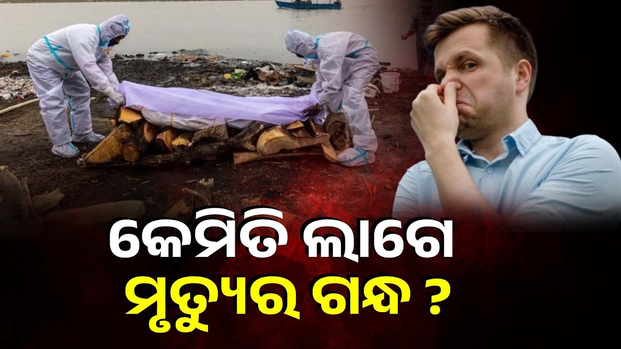 ଅପରାଧ ସ୍ଥାନ ସଫେଇ କରୁଥିବା ଜଣେ ବ୍ୟକ୍ତିଙ୍କ ଲୋମଟାଙ୍କୁରା କାହାଣୀ