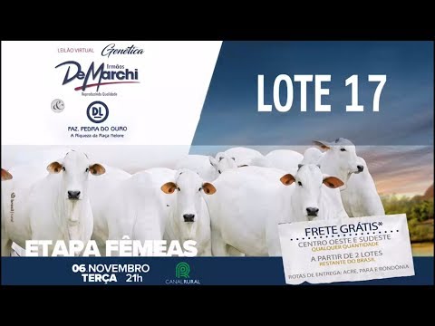 LOTE 17 (GCMV 4715)