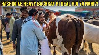 Hashim Ke HEAVY BACHRAY Ki Deal Hui Ya Nahi?! 😳💸 MULTAN MANDI UPDATE