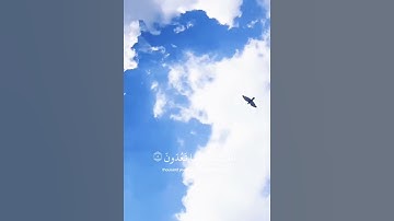 يُدَبّرٌ الأَمرَ مِنَ السماءِ 🌿 القارئ إسلام صبحي / تلاوة من سورة السجده