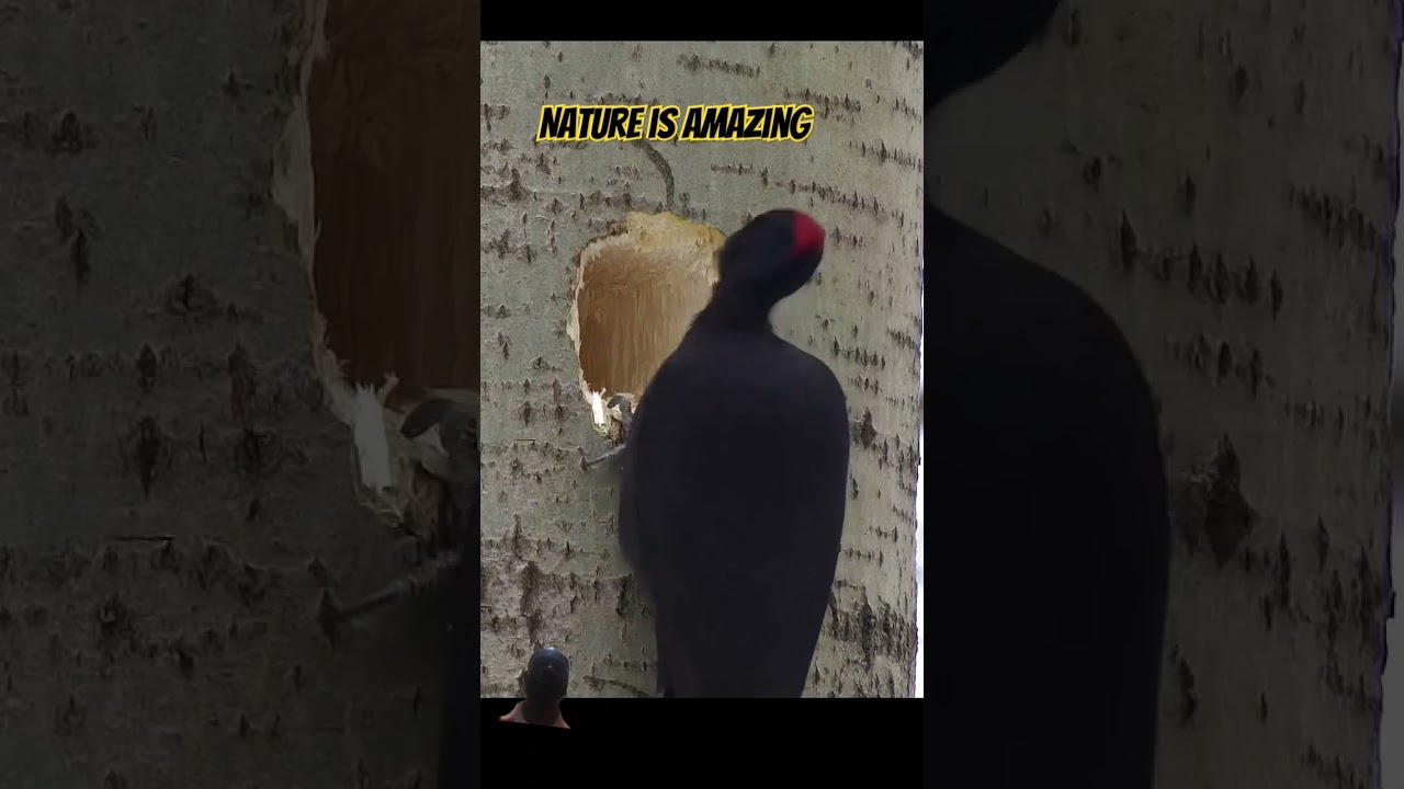 Nature is so amazing...