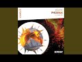 Phoenix (Extended Mix)