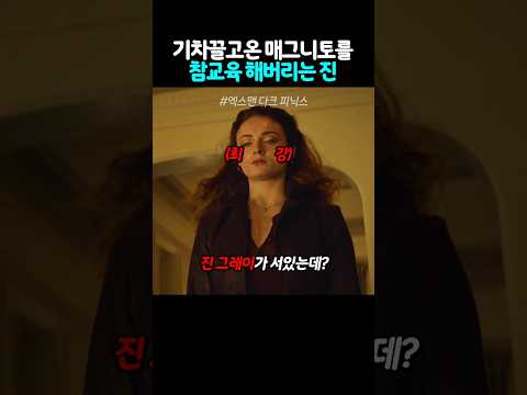 기차까지 끌고 온 매그니토를 참교육 해버리는 <strong>진</strong>