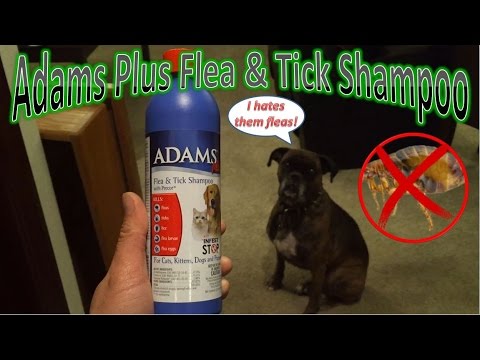 adams-plus-flea-&-tick-shampoo