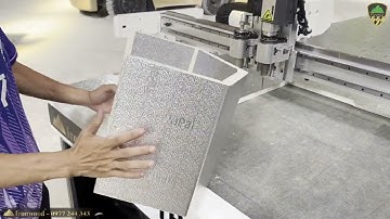 Máy cắt da mút xốp CNC 2 đầu Ironwood IR-1625LR2