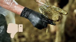 Manure Score 2
