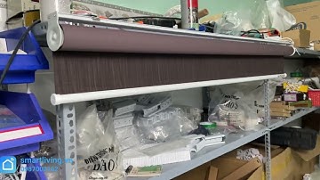 Rèm cuốn tự động Tuya