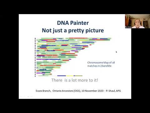 DNA Painter Presentation - Essex OGS November 2020