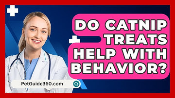 Do Catnip Treats Help With Behavior? - PetGuide360.com