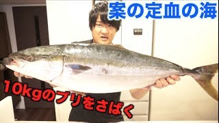 10kgのブリをさばいたらキッチンが大惨事になった！！！