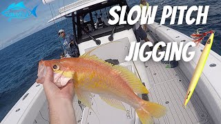 Catching BASS And Other DEEP WATER Species 70 MILES OFFSHORE in 800ft Of Water Using METAL JIGS!
