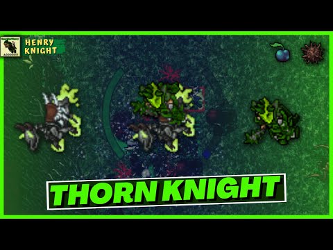 TIBIA: HOW TO MAKE THE FORGOTTEN KNOWLEDGE QUEST BOSS THORN KNIGHT