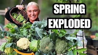 My Garden EXPLODED This Spring...