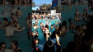 Pool Party