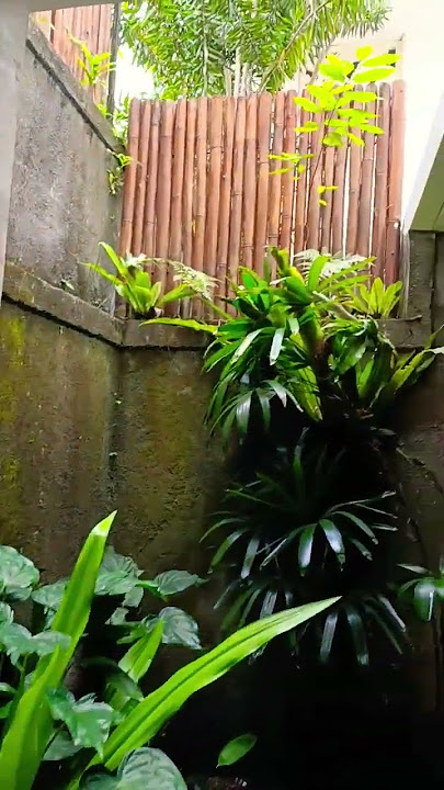 Kamar mandinya back to nature #shorts