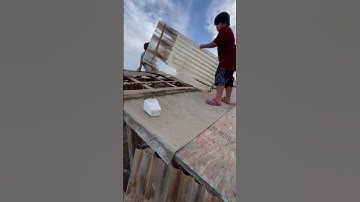 First day of tearing down the chicken coops #qaib #chickencoops