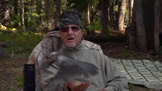 Elk Hunting Colorado, Muzzle Loader 2020