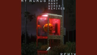 Many Words (Flaws x DROELOE Remix)