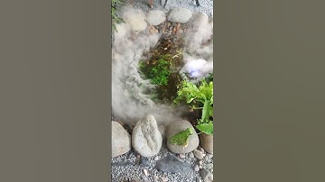 Tiểu cảnh đẹp như trong tranh #shorts