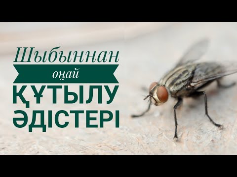 Бейне: Улы шырмауықты қалай өлтіреді?