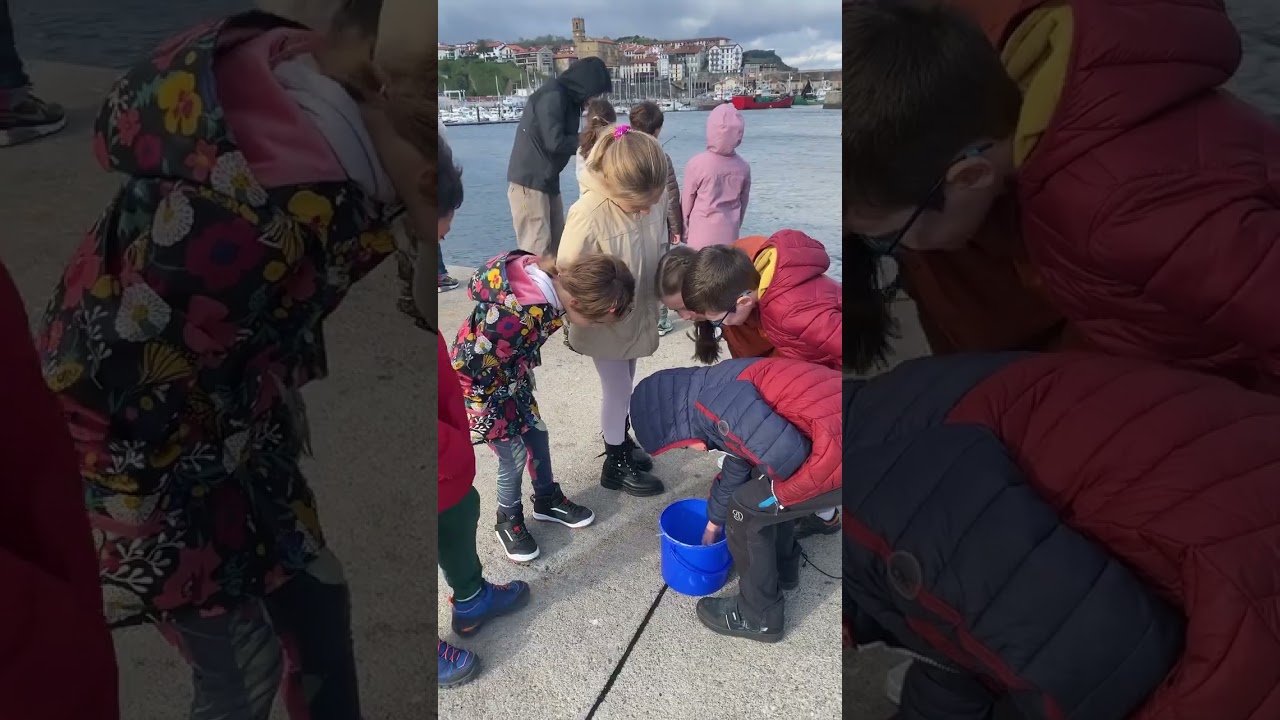 Izan Arrantzale Getarian!