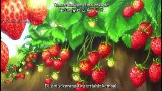 SnS opening 1 | Kibou no uta (sub indo)